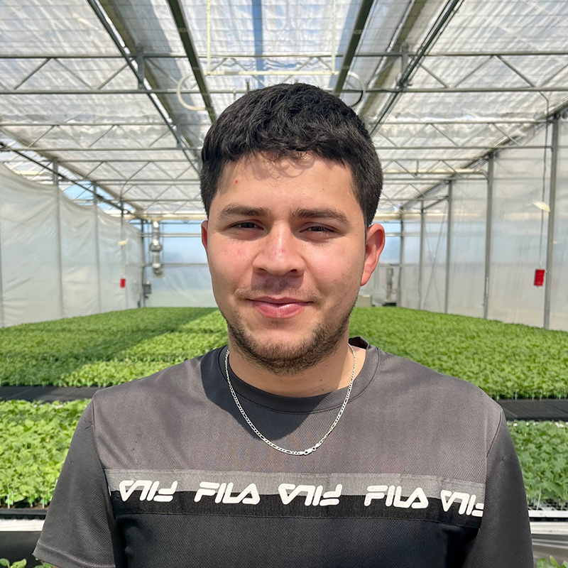 Henry Castellon Ortiz, Shipping Supervisor