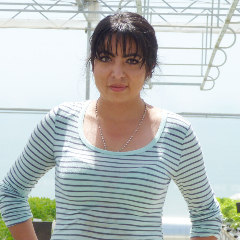 Viridiana Ortiz, Greenhouse Coordinator