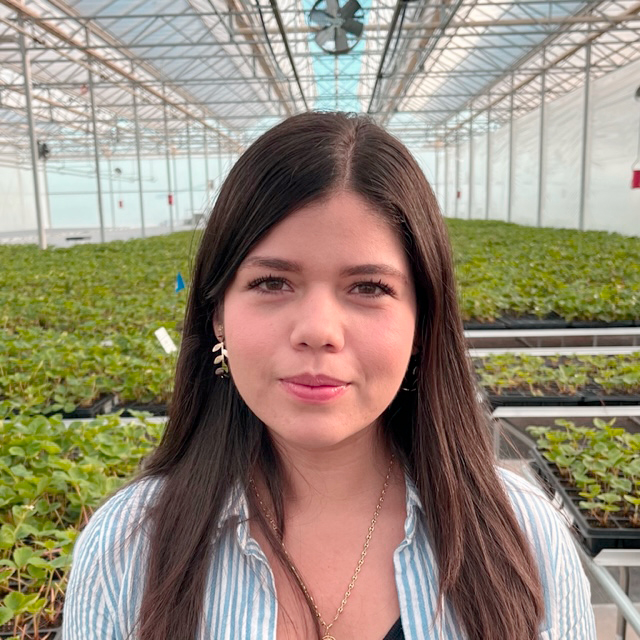 Nathalia Hernandez, Sow Line Supervisor